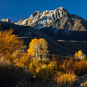 landscape photographers