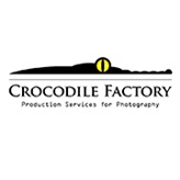 Crocodile Factory