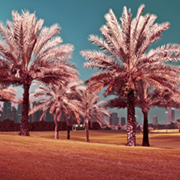 landscape photographers