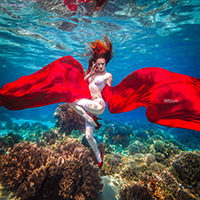 underwater photographers