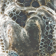art & fine art photographers