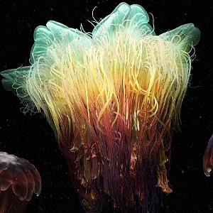 CGI, 3D Rendering & AI