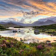 landscape photographers