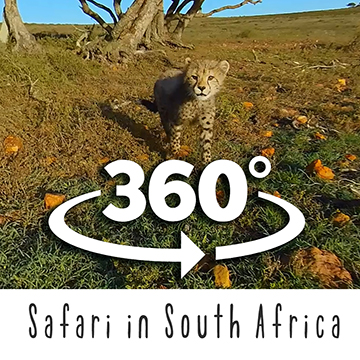 360° VR video