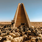 architecture photographers