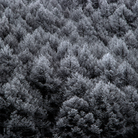 landscape photographers