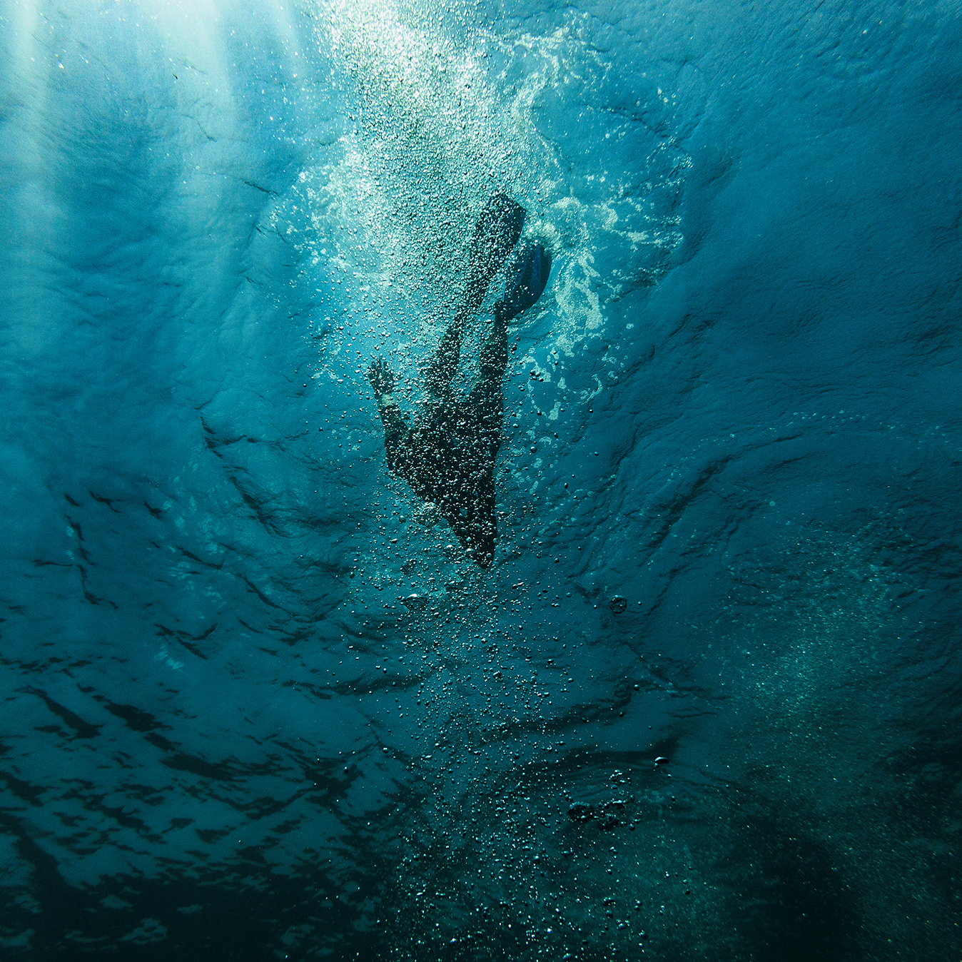 underwater photographers