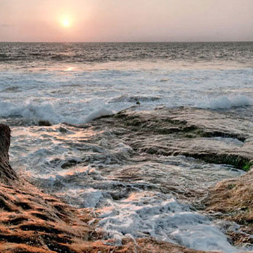 landscape photographers