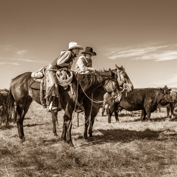 documentary & reportage photographers
