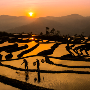 travel photographers