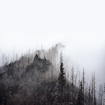 landscape photographers