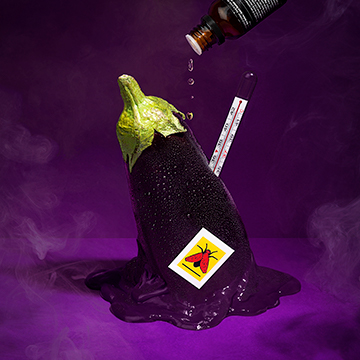 conceptual photographers