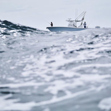 marine photographers