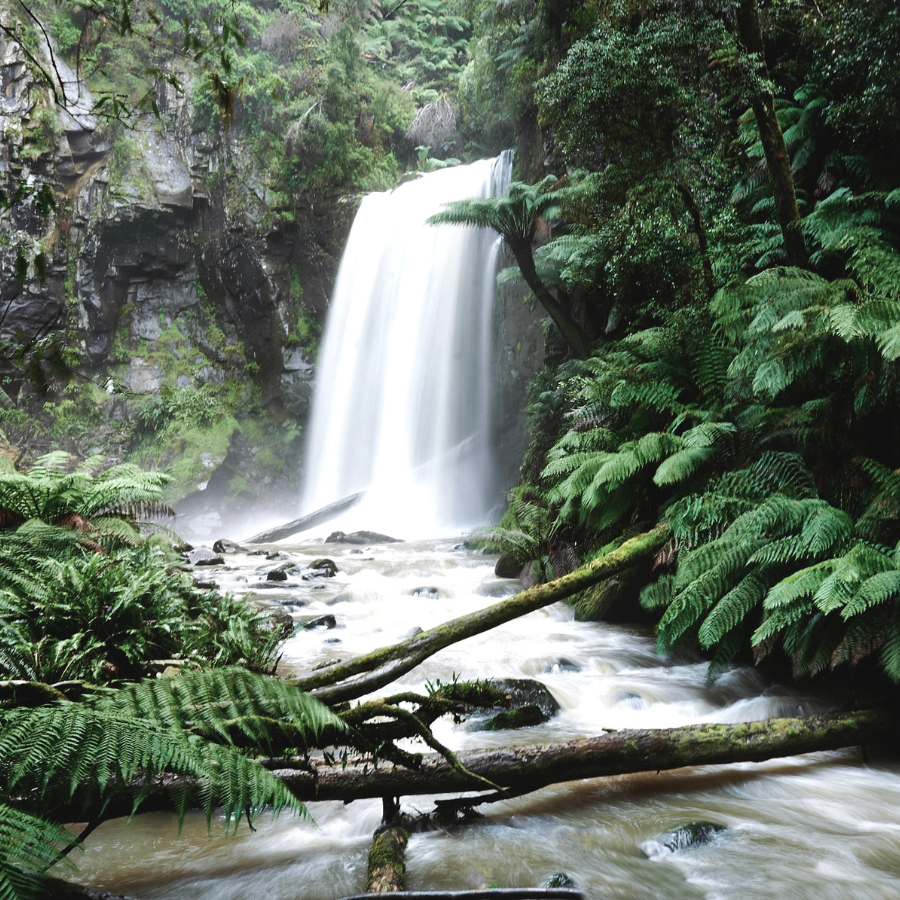 landscape photographers