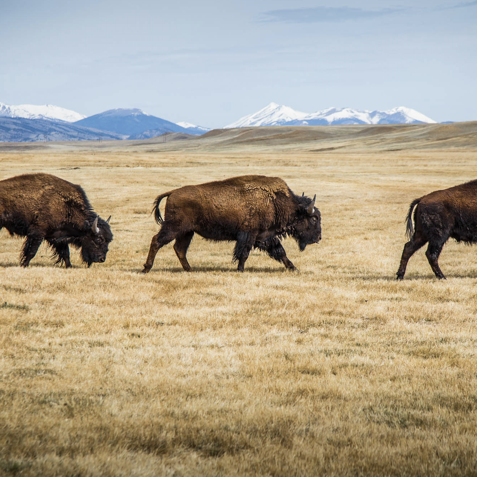 outdoor & adventure photographers