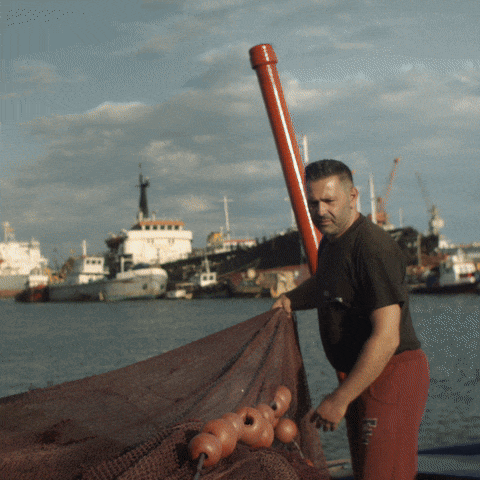directors/ documentary