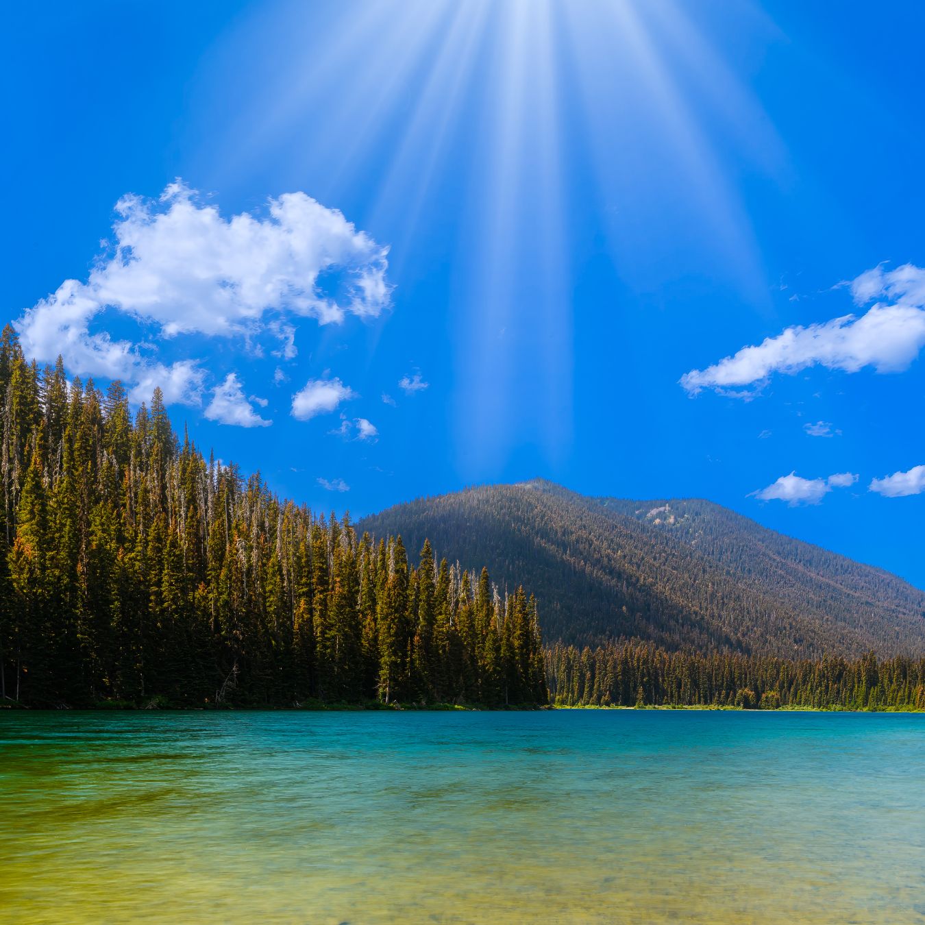 landscape photographers