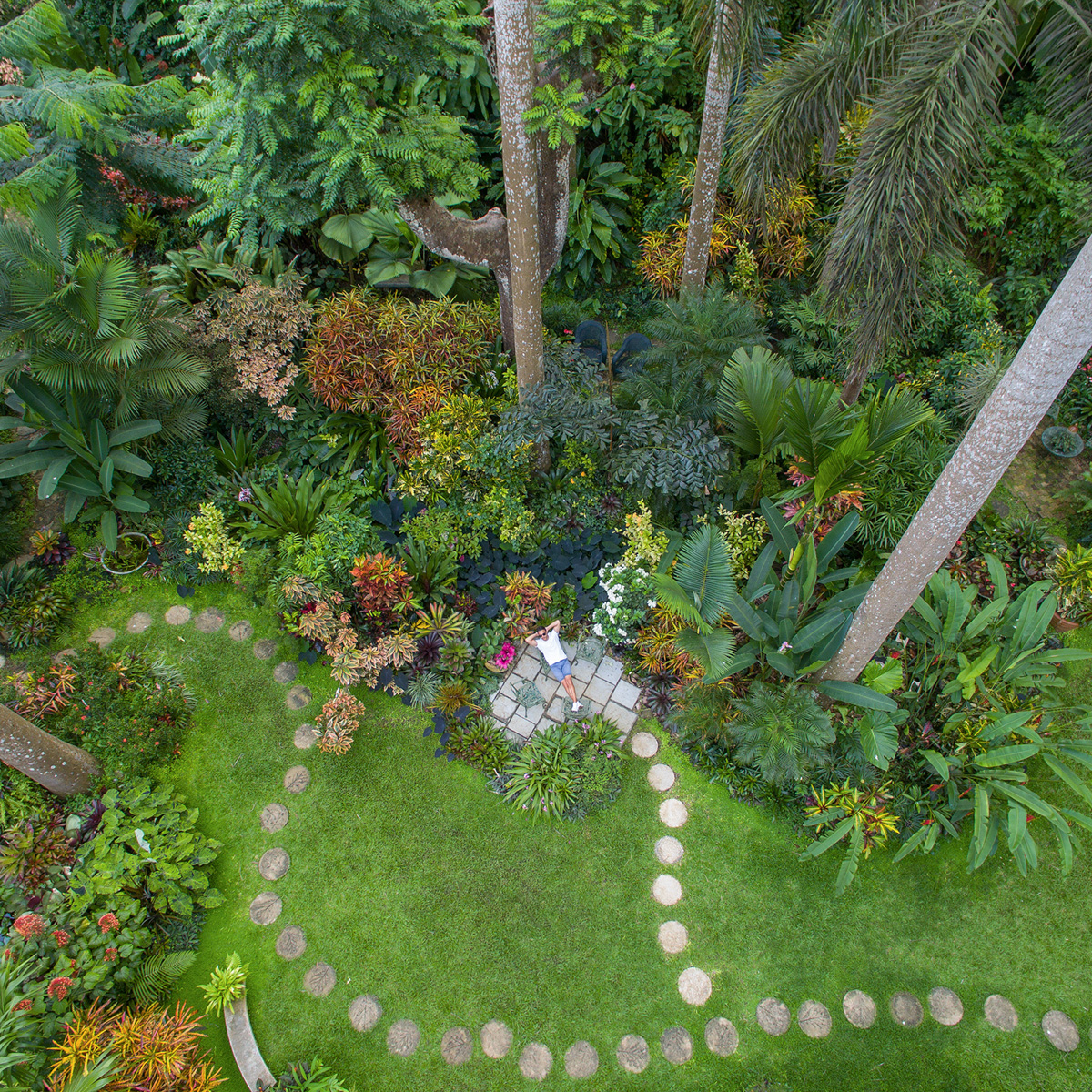 aerial & drone photographers