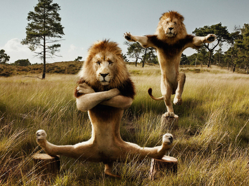 PHOTO POST PRODUCTION & CGI