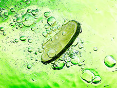 LIQUID PHOTOGRAPHY + MOTION