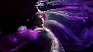 Frank P. Wartenberg Photography