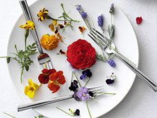 STILL LIFE PHOTOGRAPHY