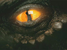 PHOTO POST PRODUCTION & CGI