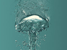 STILL LIFE PHOTOGRAPHY