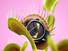 STILL LIFE PHOTOGRAPHY