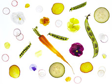 FOOD & DRINK PHOTOGRAPHY + MOTION