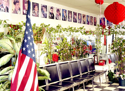 Carolyn Trayler Agency