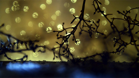 Oppido Kuwabara Photography