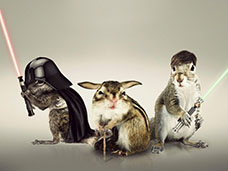 PHOTO POST PRODUCTION & CGI
