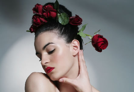 Barchetta Studio 