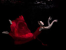 UNDERWATER PHOTOGRAPHY + MOTION