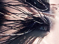 UNDERWATER PHOTOGRAPHY + MOTION
