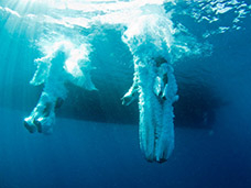 UNDERWATER PHOTOGRAPHY + MOTION
