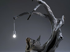 STILL LIFE PHOTOGRAPHY