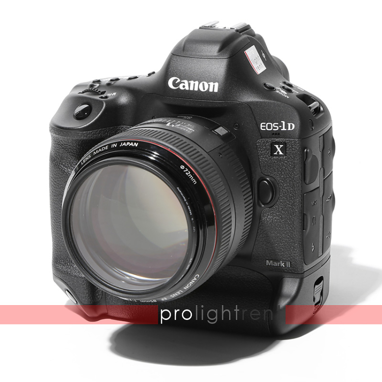 Equipment Rental