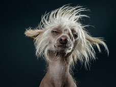 PORTRAITURE & CELEBRITY PHOTOGRAPHY