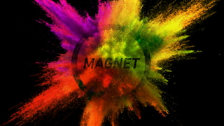 Magnet