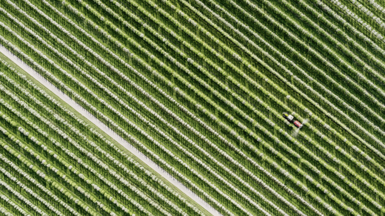 Corporate and Aerial photographers