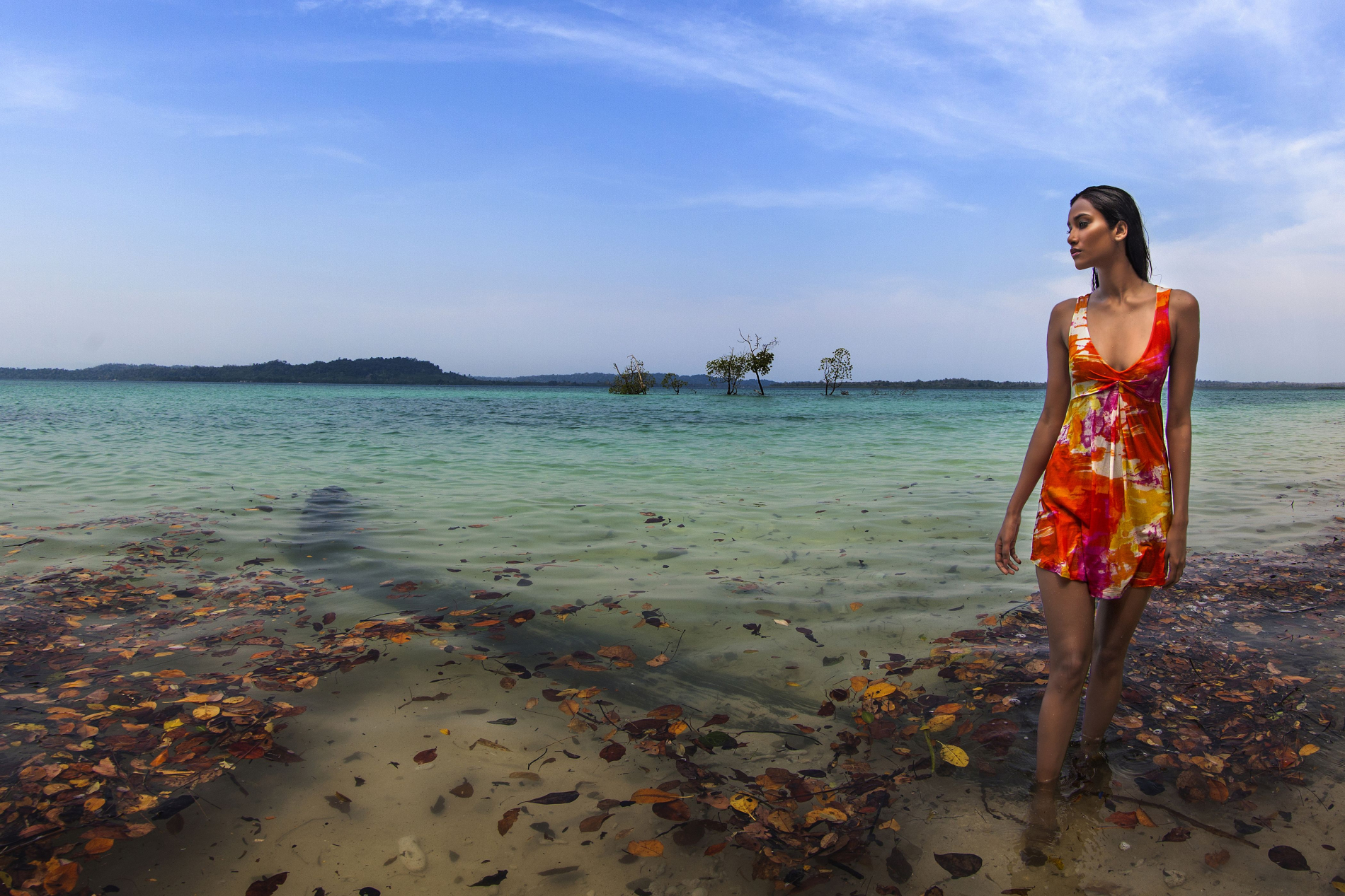 Fashion photographers