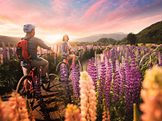 GLOBAL ADVERTISING PHOTOGRAPHY + MOTION