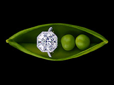 STILL LIFE PHOTOGRAPHY