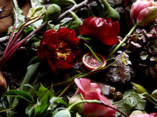 STILL LIFE PHOTOGRAPHY