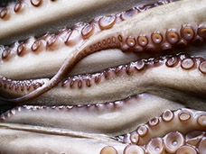 FOOD & DRINK PHOTOGRAPHY + MOTION