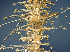 LIQUID & COSMETIC PHOTOGRAPHY