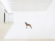 INTERNATIONAL RENTAL STUDIOS