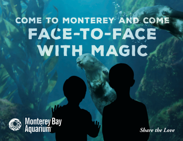  Monterey Bay Aquarium/EVB gallery